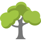 Saint Cloud Tree Removal Service