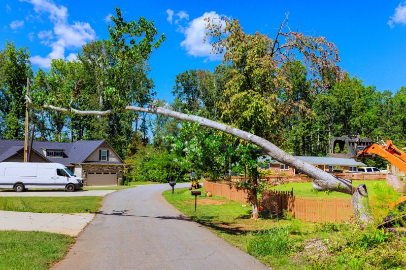 Cost of Tree Removal Service in Saint Cloud, MN