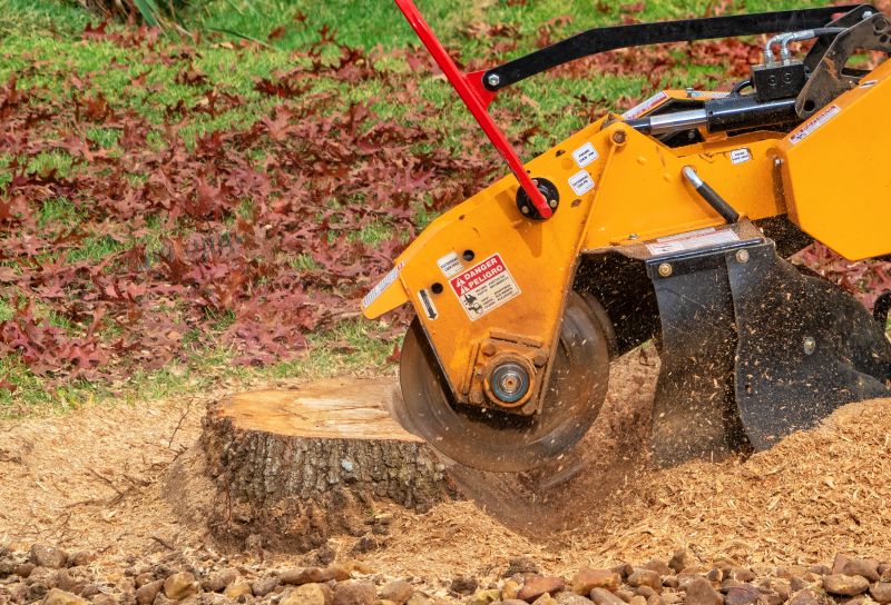 Stump Grinding Completion