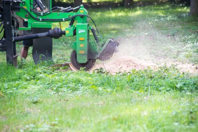 Tree Removal Equipment