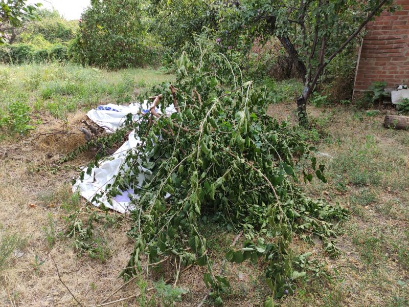 Cleanup and Disposal